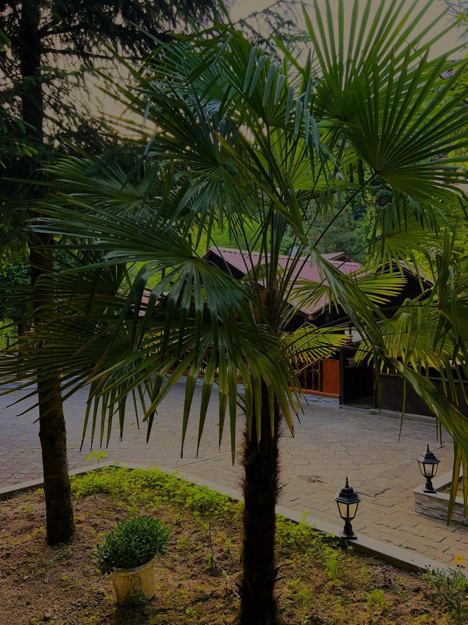Isikli Kale Hotel Caykara Exterior photo